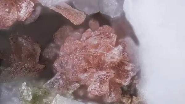 锆英石：藏于砂石中的战略瑰宝